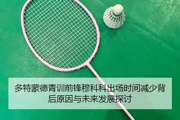 多特蒙德青训前锋穆科科出场时间减少背后原因与未来发展探讨